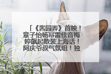 《酱园弄》首映！章子怡杨幂雷佳音梅婷飙起散装上海话！阿庆爷叔气氛组！独独没见他……