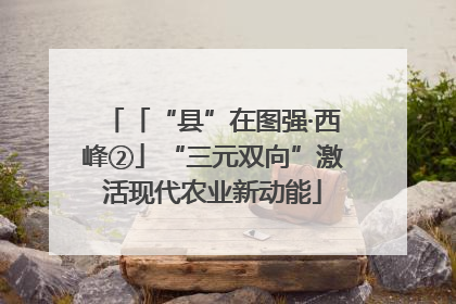 「“县”在图强·西峰②」“三元双向”激活现代农业新动能