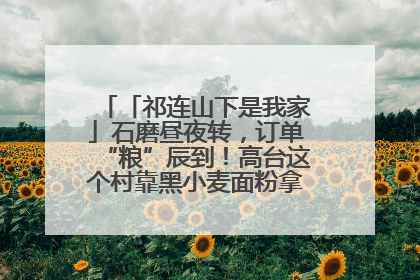 「祁连山下是我家」石磨昼夜转，订单“粮”辰到！高台这个村靠黑小麦面粉拿下成立来最大订单