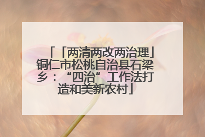 「两清两改两治理」铜仁市松桃自治县石梁乡：“四治”工作法打造和美新农村