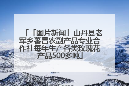 「图片新闻」山丹县老军乡蕃昌农副产品专业合作社每年生产各类玫瑰花产品500多吨