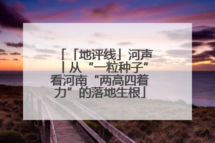 「地评线」河声丨从“一粒种子”看河南“两高四着力”的落地生根
