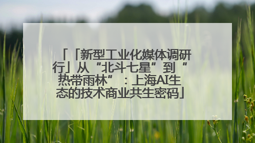 「新型工业化媒体调研行」从“北斗七星”到“热带雨林”：上海AI生态的技术商业共生密码