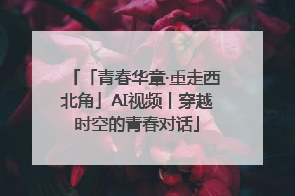 「青春华章·重走西北角」AI视频丨穿越时空的青春对话