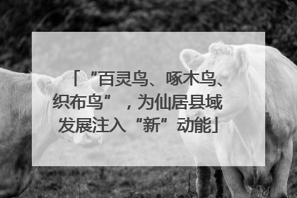 “百灵鸟、啄木鸟、织布鸟”，为仙居县域发展注入“新”动能
