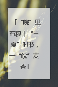 “皖”里有粮｜“三夏”时节，一“皖”麦香