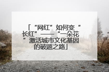 “网红”如何变“长红”——“一朵花”激活城市文化基因的破题之路