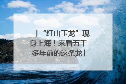 “红山玉龙”现身上海！来看五千多年前的这条龙