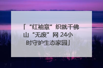 “红袖章”织就千佛山“无废”网 24小时守护生态家园