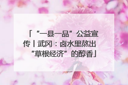 “一县一品”公益宣传丨武冈：卤水里熬出“草根经济”的醇香