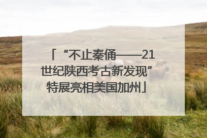 “不止秦俑——21世纪陕西考古新发现”特展亮相美国加州