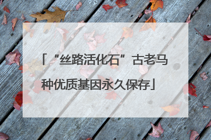 “丝路活化石”古老马种优质基因永久保存