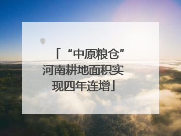 “中原粮仓”河南耕地面积实现四年连增