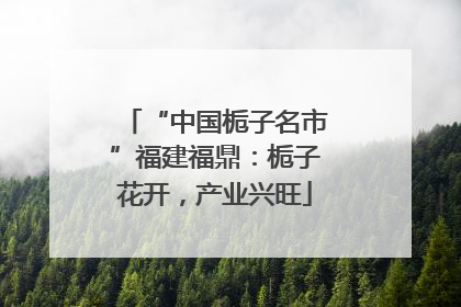“中国栀子名市”福建福鼎：栀子花开，产业兴旺
