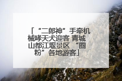 “二郎神”手牵机械哮天犬迎客 青城山都江堰景区 “圈粉”各地游客