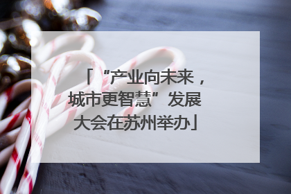 “产业向未来，城市更智慧”发展大会在苏州举办