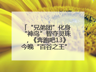 “兄弟团”化身“神鸟”智夺灵珠，《奔跑吧13》今晚“百谷之王”花落谁家？
