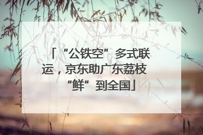 “公铁空”多式联运，京东助广东荔枝“鲜”到全国