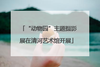 “动物园”主题摄影展在清河艺术馆开展