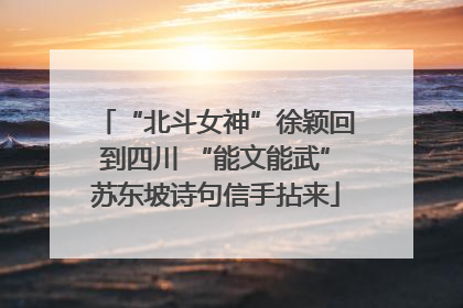 “北斗女神”徐颖回到四川 “能文能武”苏东坡诗句信手拈来