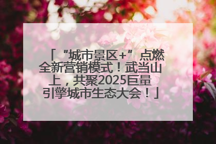“城市景区+”点燃全新营销模式！武当山上，共聚2025巨量引擎城市生态大会！