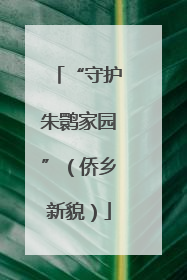 “守护朱鹮家园”（侨乡新貌）