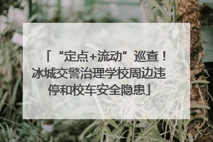 “定点+流动”巡查！冰城交警治理学校周边违停和校车安全隐患