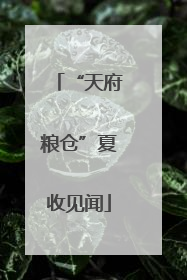 “天府粮仓”夏收见闻