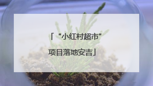 “小红村超市”项目落地安吉