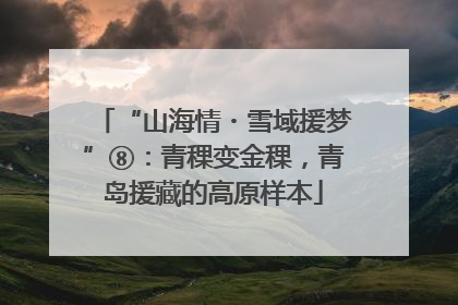 “山海情・雪域援梦”⑧：青稞变金稞，青岛援藏的高原样本