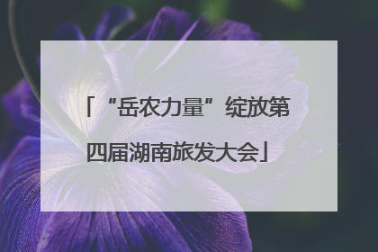 “岳农力量”绽放第四届湖南旅发大会