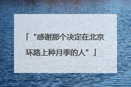 “感谢那个决定在北京环路上种月季的人”