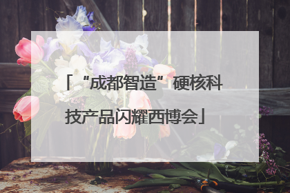 “成都智造”硬核科技产品闪耀西博会