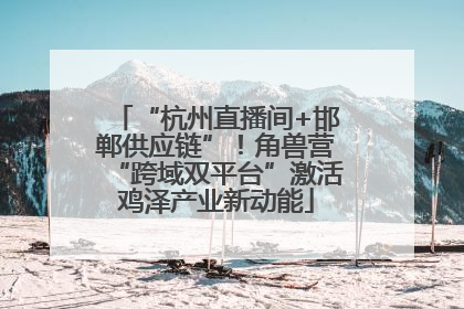 “杭州直播间+邯郸供应链”！角兽营“跨域双平台”激活鸡泽产业新动能