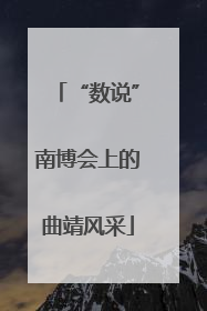 “数说”南博会上的曲靖风采