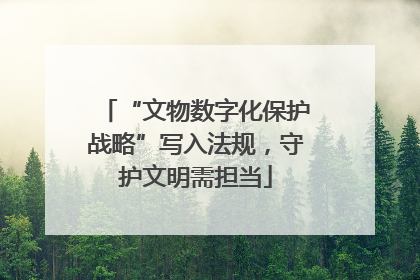 “文物数字化保护战略”写入法规，守护文明需担当