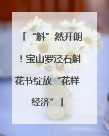 “斛”然开朗！宝山罗泾石斛花节绽放“花样经济”