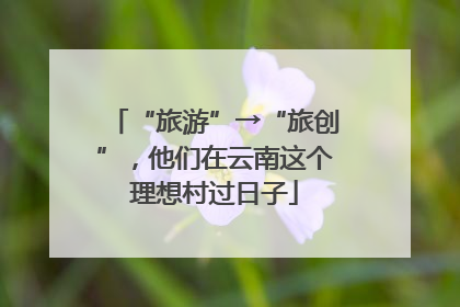 “旅游”→“旅创”，他们在云南这个理想村过日子