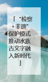 “检察+非遗”保护模式推动水族古文字融入新时代