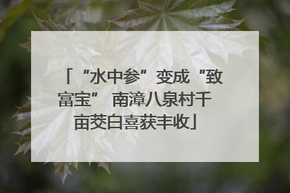“水中参”变成“致富宝” 南漳八泉村千亩茭白喜获丰收