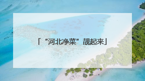 “河北净菜”靓起来