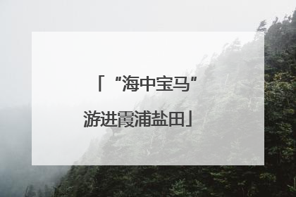 “海中宝马”游进霞浦盐田