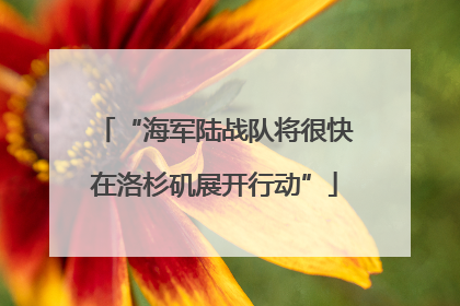 “海军陆战队将很快在洛杉矶展开行动”
