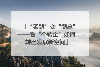 “老熊”变“熊总”——看“个转企”如何转出发展新空间