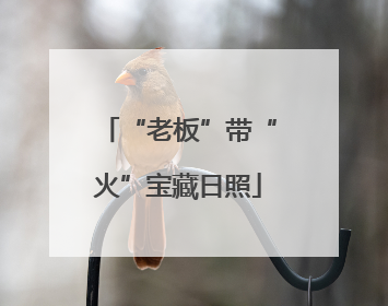 “老板”带“火”宝藏日照