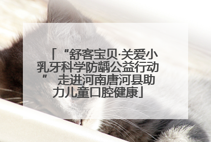 “舒客宝贝·关爱小乳牙科学防龋公益行动” 走进河南唐河县助力儿童口腔健康