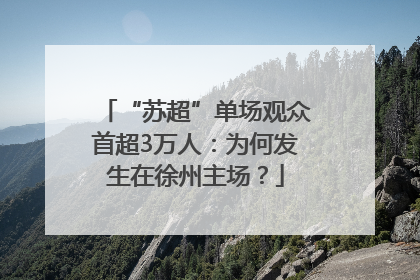 “苏超”单场观众首超3万人：为何发生在徐州主场？