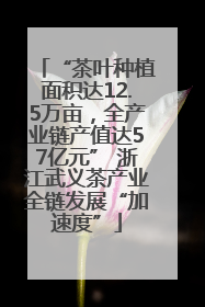 “茶叶种植面积达12.5万亩，全产业链产值达57亿元” 浙江武义茶产业全链发展“加速度”