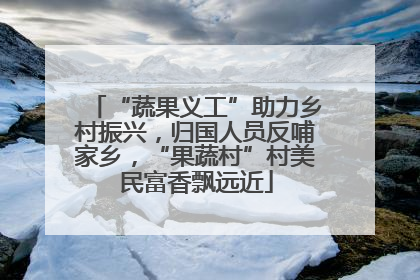 “蔬果义工”助力乡村振兴，归国人员反哺家乡，“果蔬村”村美民富香飘远近