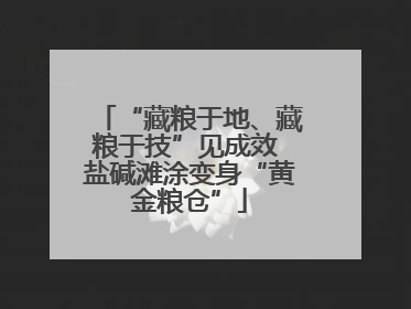 “藏粮于地、藏粮于技”见成效 盐碱滩涂变身“黄金粮仓”